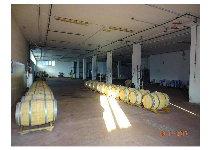 Vendemmiatrice, Atomizzatore, Trinciasementi, Tagliaerba, Macchine agricole targate, Cisterne, Barrique, Mobili Uffici, Arredamento, Tende, Salone, Poltrone atrio ufficio, Server usato, PC, Macchinari Vari, Pressa acquisizione, Linea nastri imbottigliamento, Linea nastri inscatolamento, Sciacquatrice, Tappatrice, Riempitrice isobarica, Fascia pallet, Aspiraraspi, Misuratore Pressione, Tappatore a vite con accessori, Dosatore.