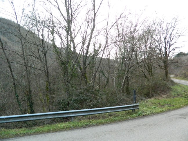 Fall. 78/2014 - Tribunale di Arezzo: Terreni agricoli siti in Ortignano Raggiolo (AR)  ed identificati catastalmente come segue : Foglio di mappa n. 17 part. 143, con qualità Bosco Misto di Classe 2, superficie1.090 mq; Foglio di mappa n. 17 part. 144 , con qualità Seminativo di Classe 5, superficie 1.200,00 mq,Terreni agricoli siti in Poppi (AR) ed identificati catastalmente come segue: Foglio di mappa n. 95 part. 244, con qualità Bosco Misto di Classe 3, superficie 440,00 mq,Foglio di mappa n. 95 part. 245, con qualità Seminativo Arborato di Classe 3, superficie 800,00