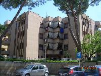 Descrizione: Cucina, 2 bagni, 4 stanze, 3 balconi, ingresso e corridoio + deposito e posto auto scoperto . Mq. 130 + 25 (deposito) + 10 (posto auto scoperto). N.C.E.U. foglio 8 part. 531 sub. 505, con deposito al foglio 8 part. 531 sub. 23 e posto auto scoperto al foglio 8 part. 1395 sub. 10. Libero. Intera Proprietà