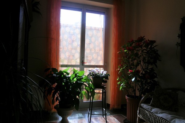 Immobile, sito in CHIAVARI (GENOVA) - CAP 16043, VIA PARMA 10. Descrizione: Ingresso, corridoio, soggiorno, saletta, 2 camere, disimpegno, cucina, bagno, ripostiglio e terrazzo + pertinenziale cantina e posto auto scoperto. Mq. 136. N.C.E.U. A3 foglio 12 part. 1996 sub. 2, con posto auto scoperto al foglio 12 part. 1996 sub. 42