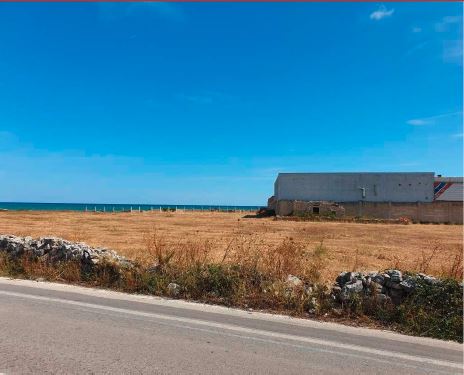 Terreni, in Giovinazzo (BA) Via SS n. 16 snc. Mq 24275. Piena proprietà. Libero