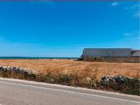 Terreni, in Giovinazzo (BA) Via SS n. 16 snc. Mq 24275. Piena proprietà. Libero