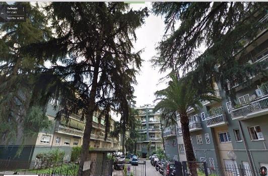 Appartamento posto al piano terra di 4,5 vani catastali; 78 mq Totale escluse aree scoperte 66 mq. Identificativi catastali: Fg.261 P.lla 358 Sub.17 graff.261-443 (appartamento).