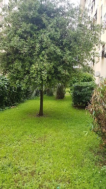 Unità Residenziale cat. A/3 foglio 956 part. 302 sub 96 rendita 659,77