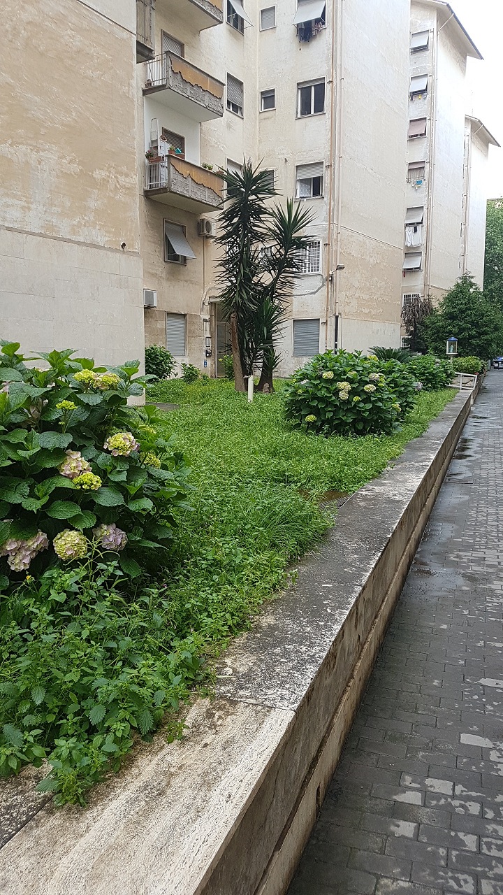 Unità Residenziale cat. A/3 foglio 956 part. 352 sub 40 rendita 848,28