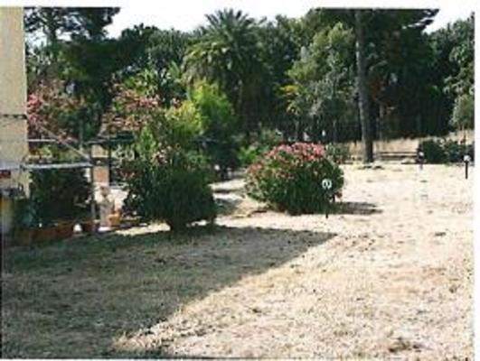 Appartamento in PALERMO VIA BOLOGNI 5, piano primo. Piano primo: ingresso, 2 disimpegni, 3 camere, cucina, wc, lavanderia, ripostiglio, veranda e 2 terrazzi Piano secondo: ingresso, wc e ripostiglio + pertinenziale posto auto scoperto. N.C.E.U. Categoria Catastale A2 foglio 47 part. 6347 sub. 5 e posto auto scoperto ad uso esclusivo al foglio 47 part. 6347 sub. 2. Mq 260. Libero. Piena proprietà