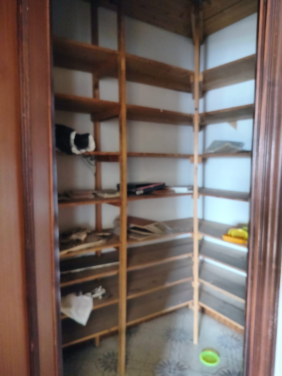 appartamento posto al terzo piano con ascensore composto da 5,5 vani, rendita catastale € 468. La zona è ben collegata e ricca di opportunità e servizi essenziali, posto auto scoperto ubicato nel cortile piano terra 13mq. Sup catastale 128. Libero. Piena Proprietà. Turno 1^.